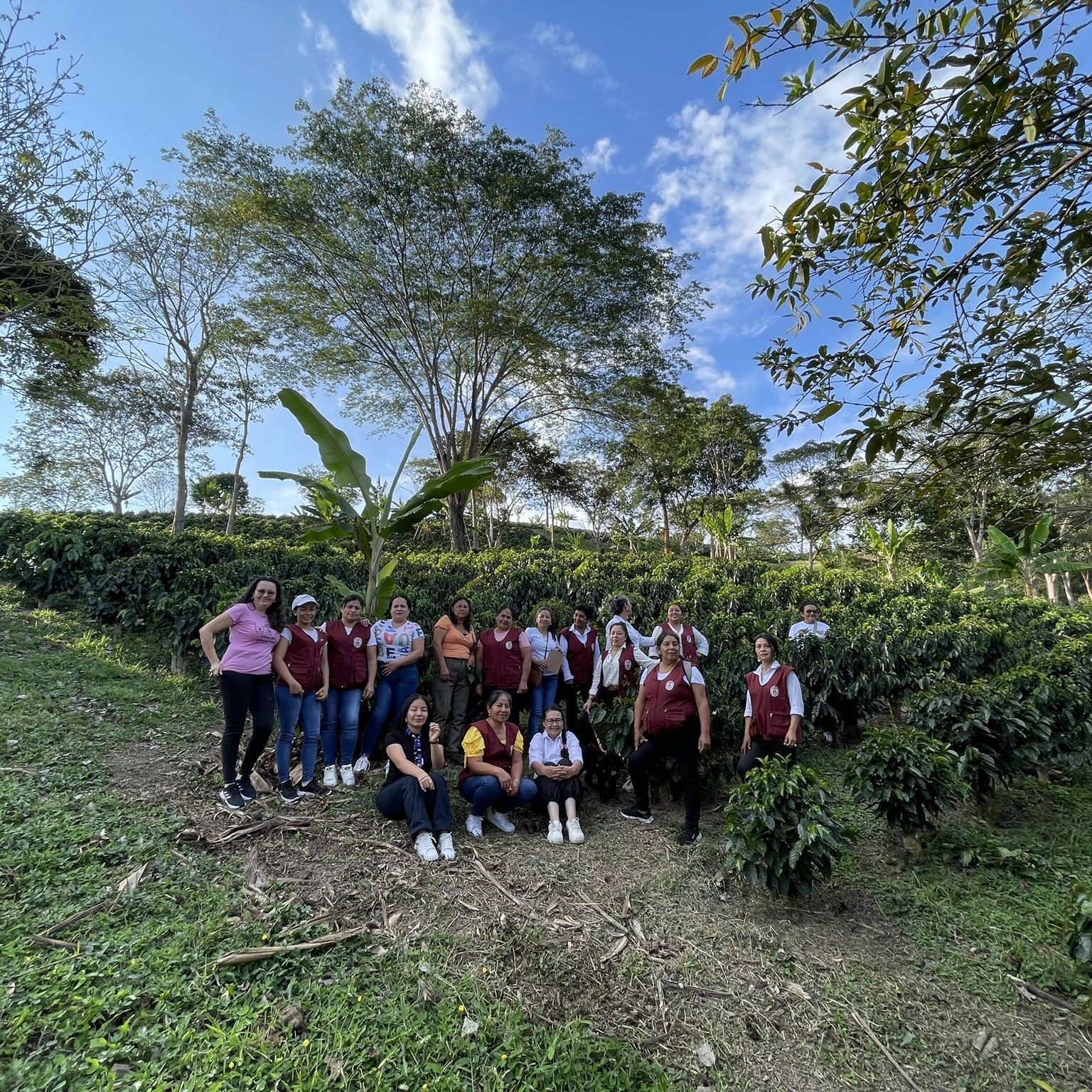 Nicaragua - Forest Positive 250g - Obrázek 3